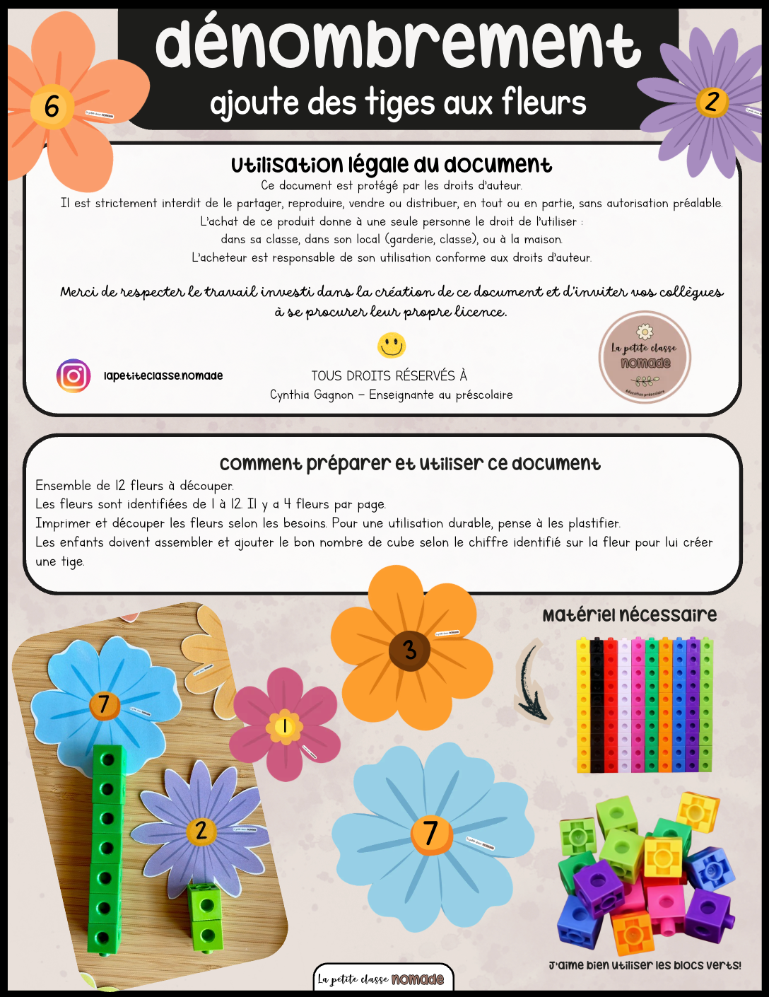 Ajoute des tiges aux fleurs - Printemps et insectes