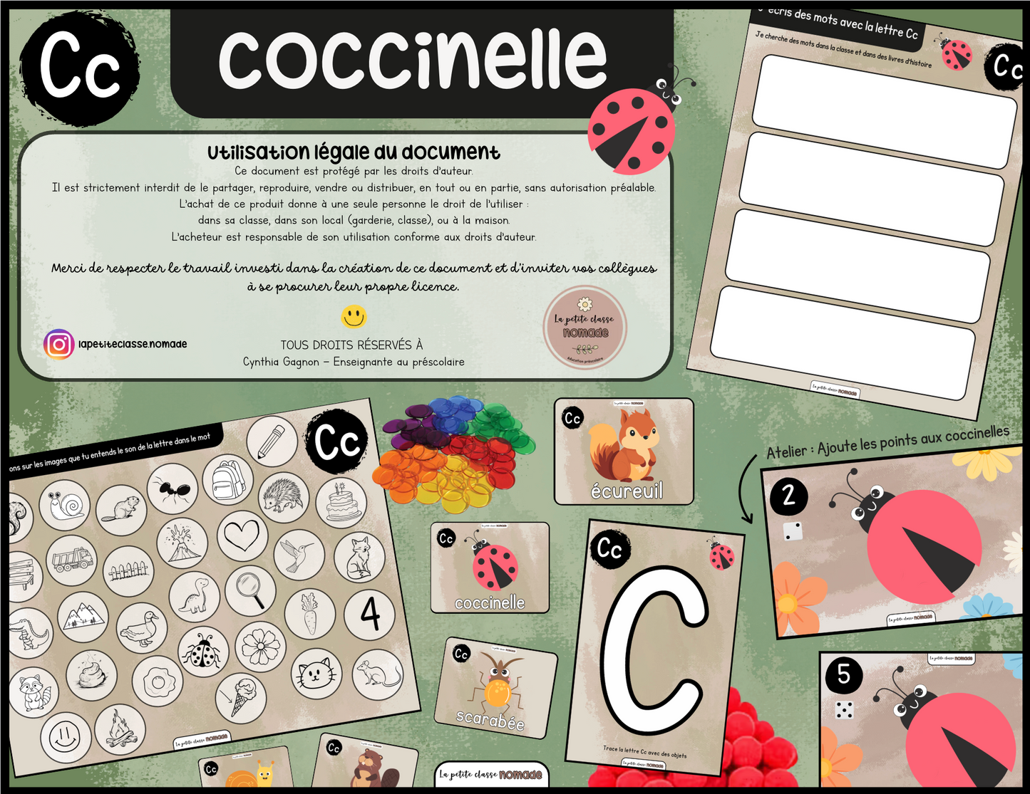 Ensemble - Ateliers de lettres thématique Insectes - Pp, Cc, Ll, Ff, Aa