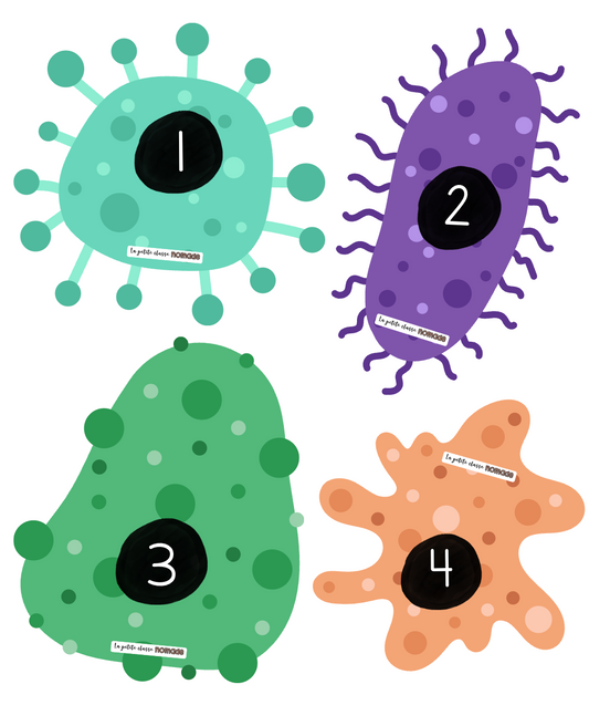 Virus numérotés