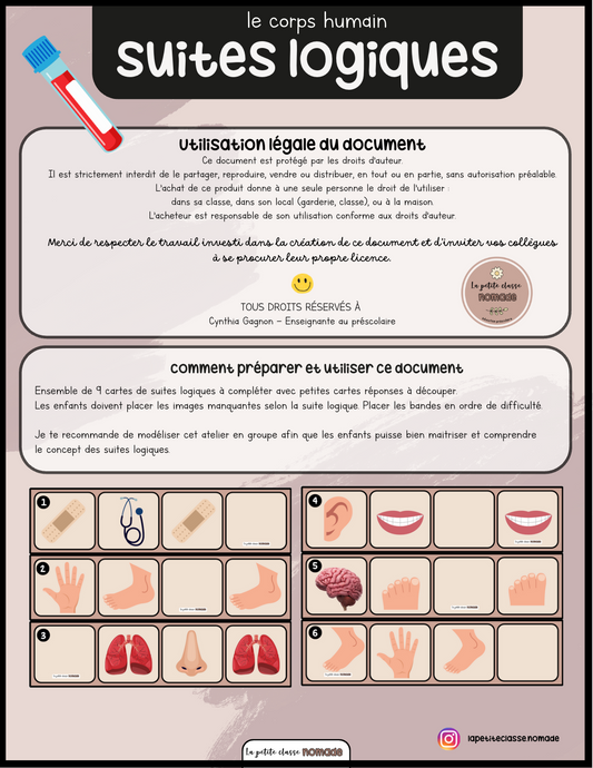Atelier - Suites logiques corps humain