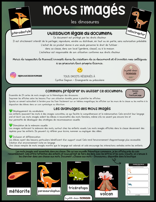 Mots imagés - Les dinosaures