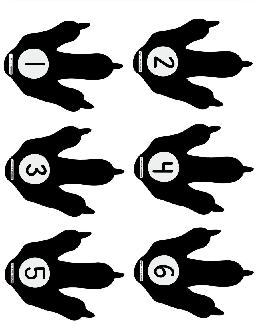 Pattes et fossiles numérotés