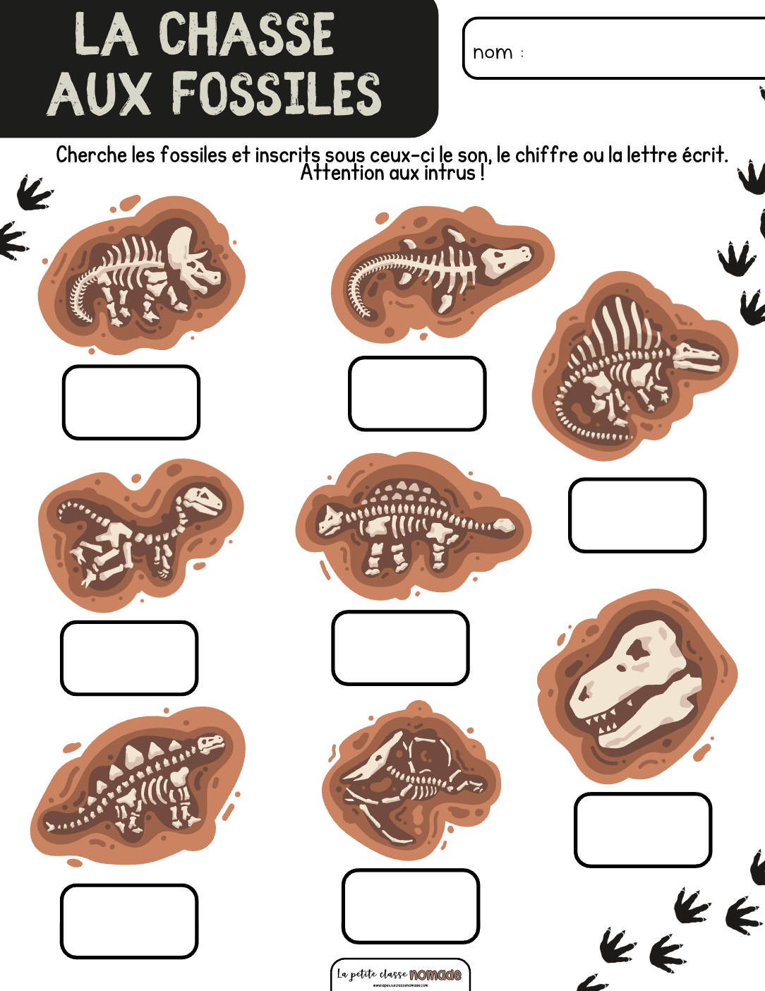 La chasse aux fossiles
