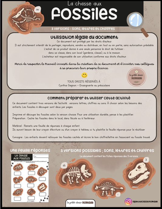 La chasse aux fossiles