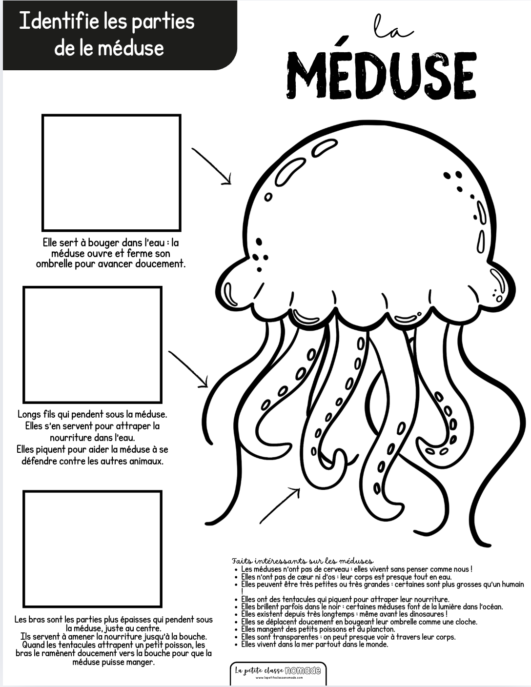 Cahier d'activités - Pirates et océan