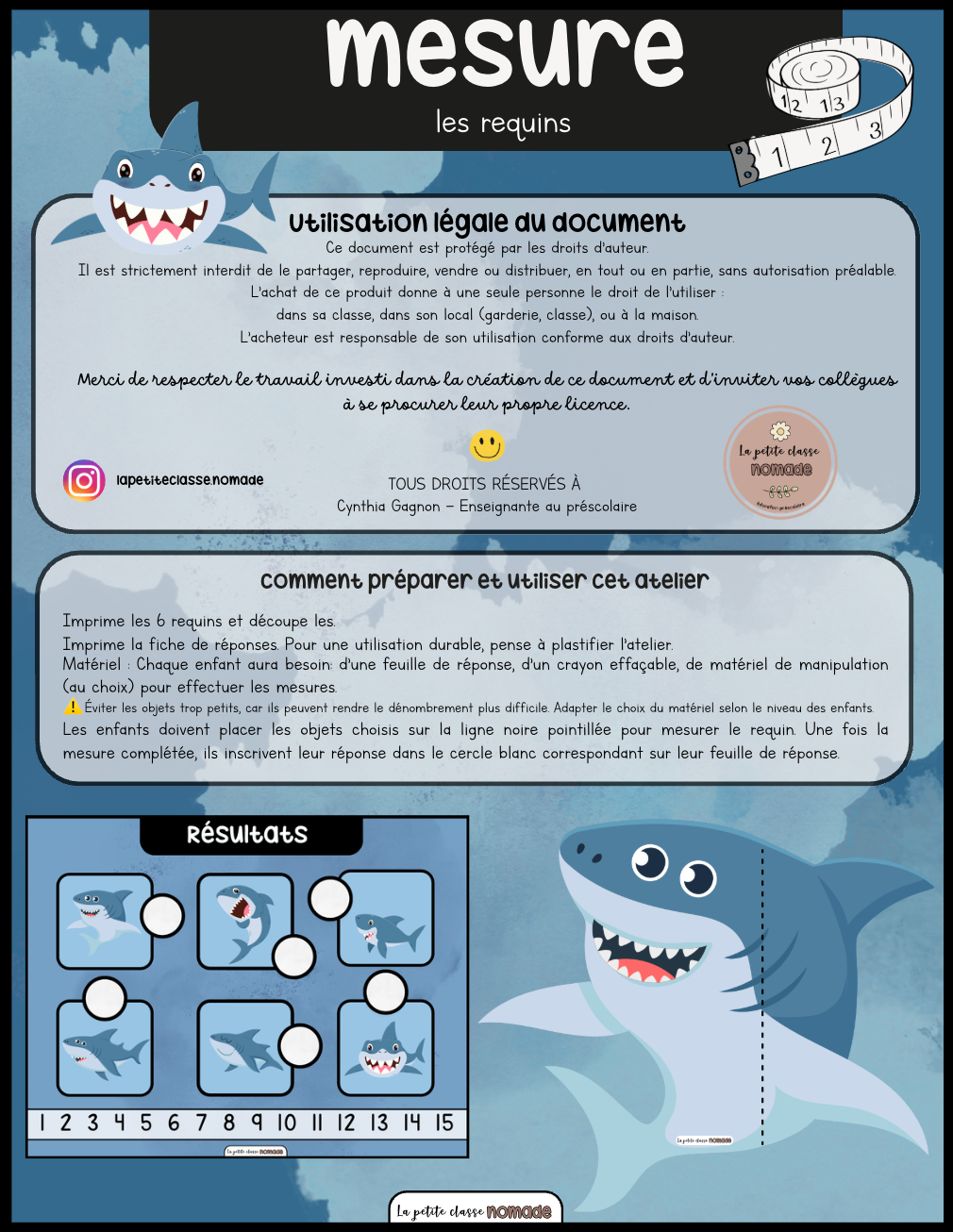 Atelier de mesures - Requins