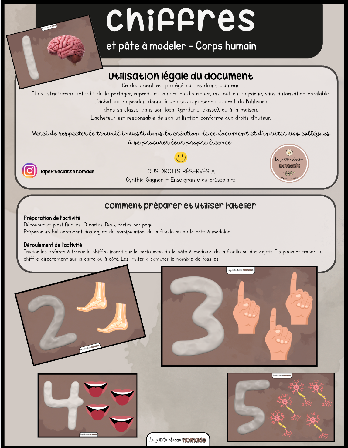 Chiffres et pâte à modeler - Corps humain