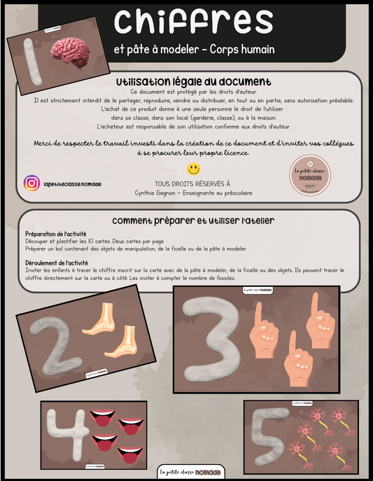 Chiffres et pâte à modeler - Corps humain