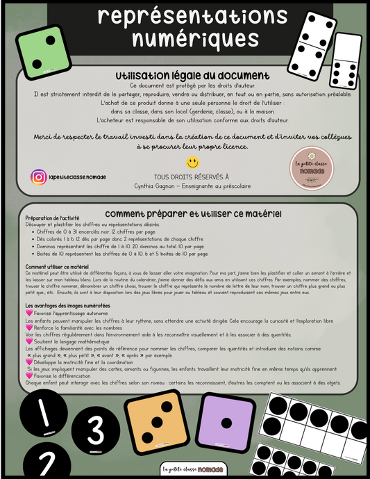 Représentations numériques