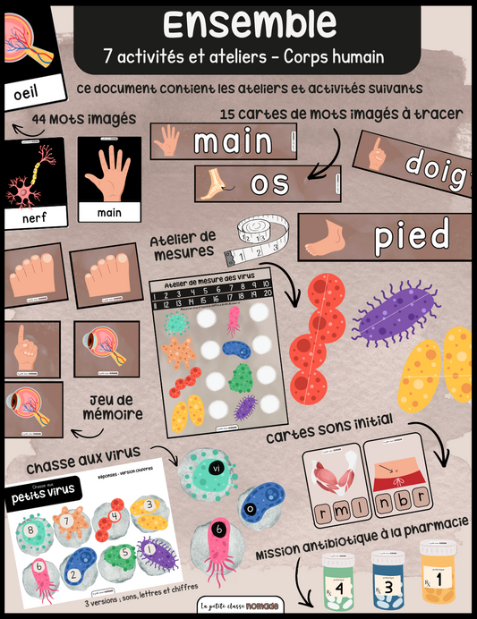 Ensemble de 7 activités-ateliers - Corps humain