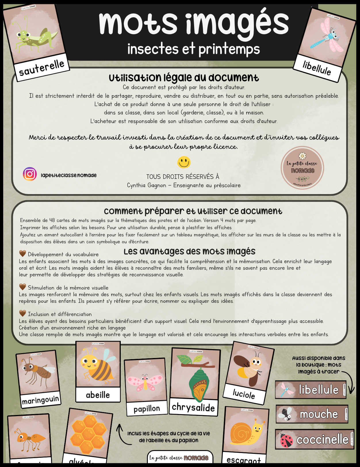 Mots imagés - Insectes