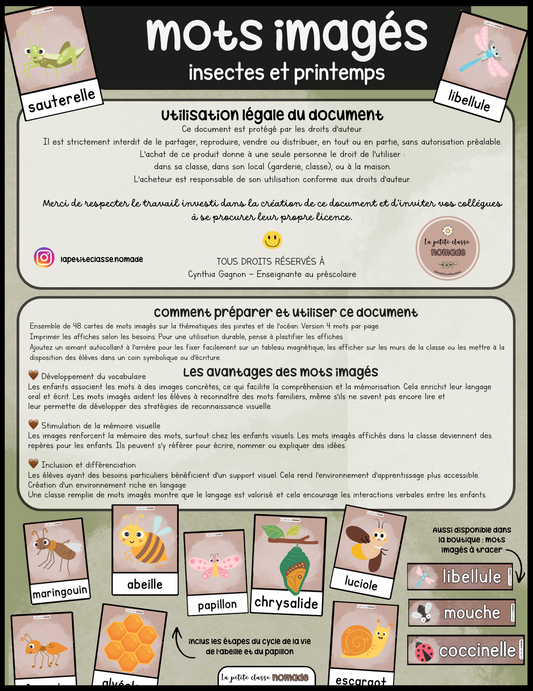 Mots imagés - Insectes