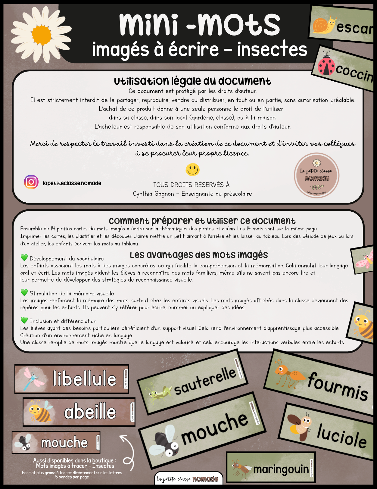 Ensemble #1 de  5 activités/ateliers - Insectes