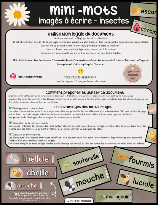 Mini-mots imagés à écrire - Insectes