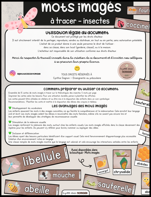 Mots imagés à tracer - Insectes