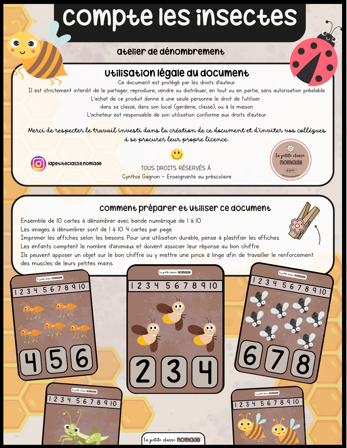 Cartes - Compte les insectes