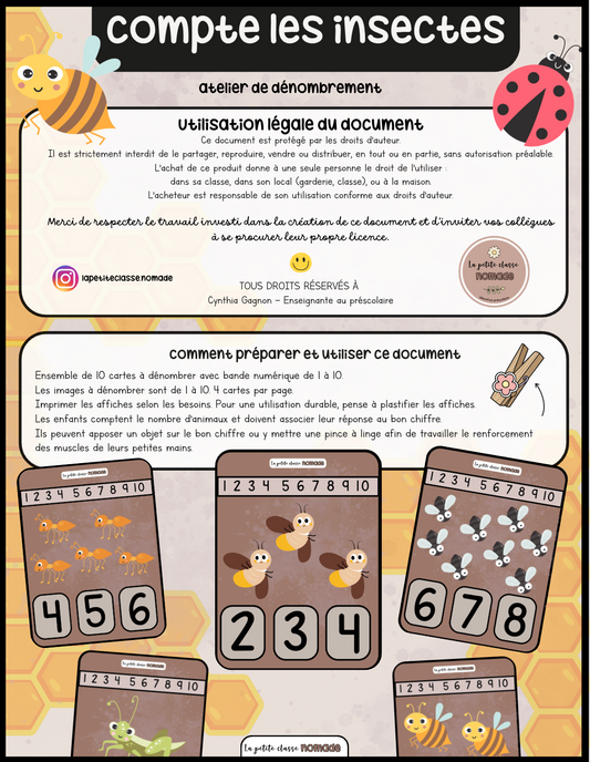 Cartes - Compte les insectes
