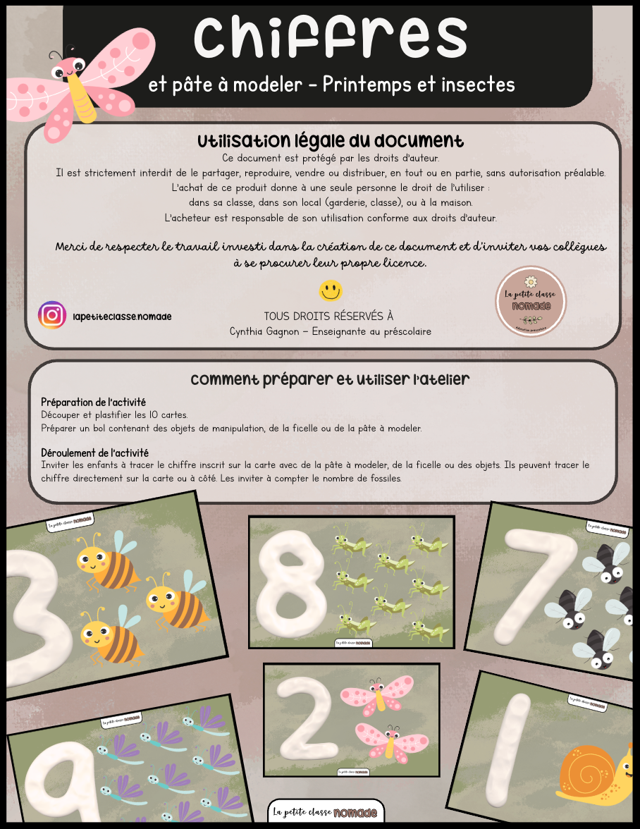 Chiffres et pâte à modeler - Insectes