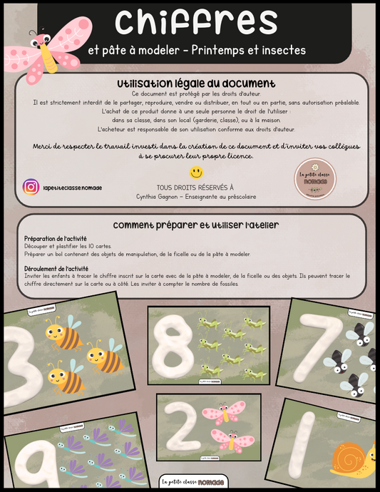 Chiffres et pâte à modeler - Insectes