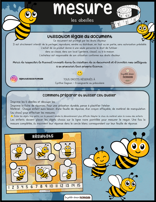 Atelier de mesures - Abeilles