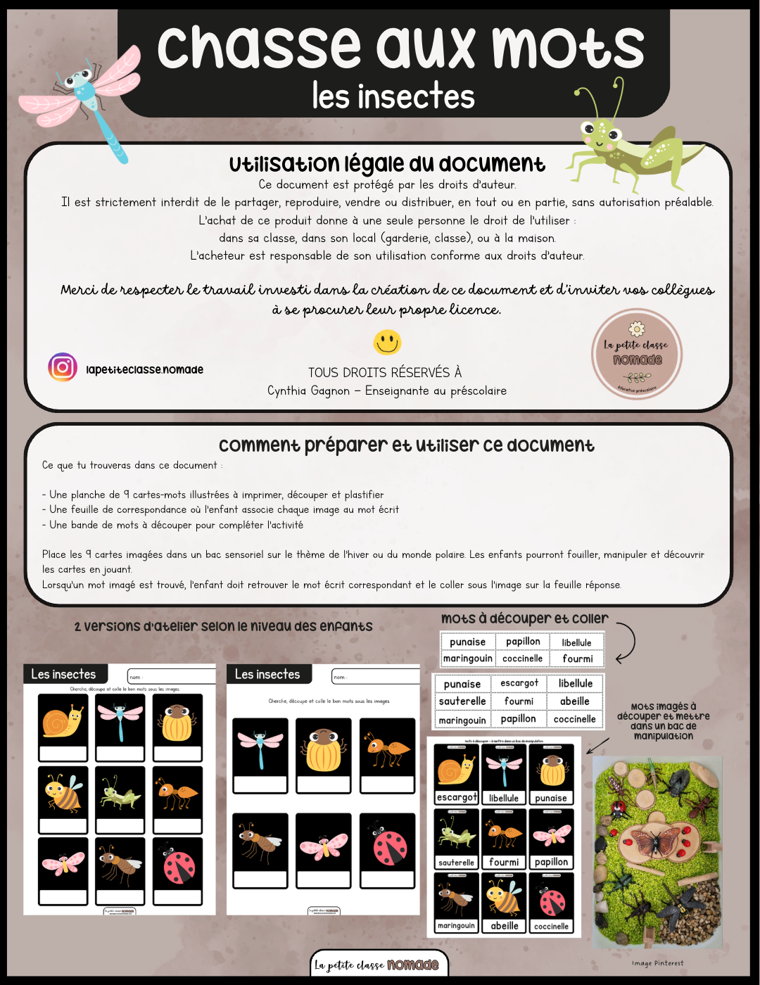 Chasse aux mots - Insectes