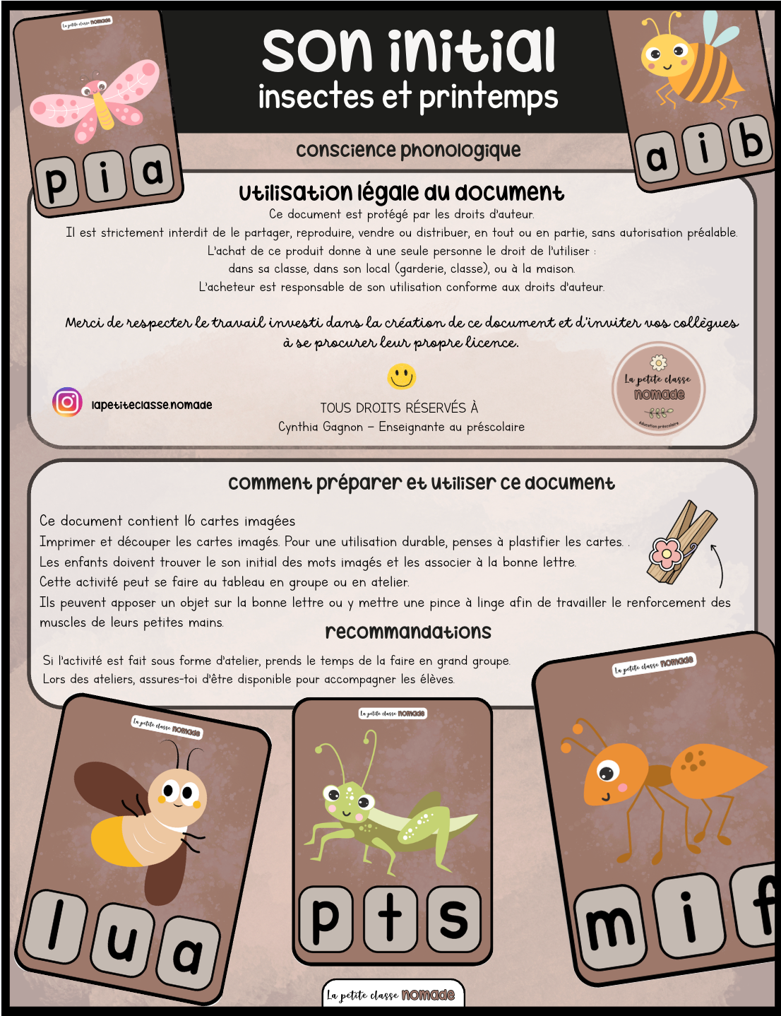 Cartes son initial - Insectes et printemps