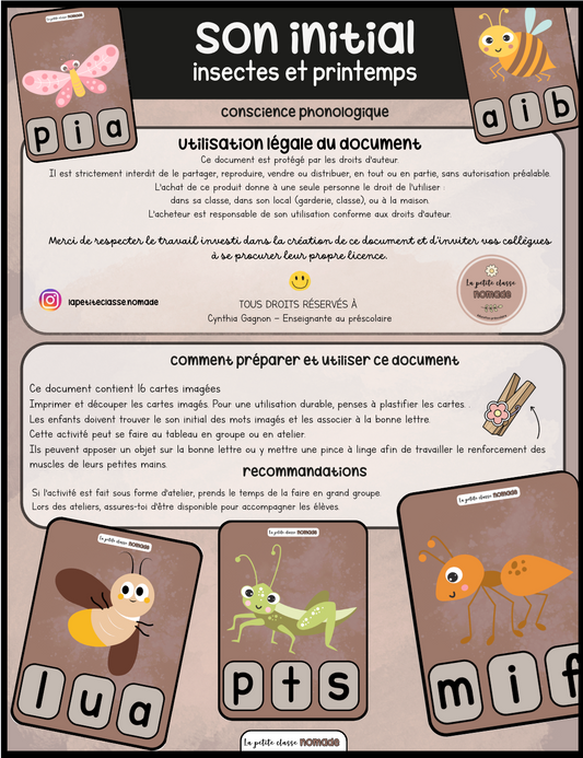 Cartes son initial - Insectes et printemps