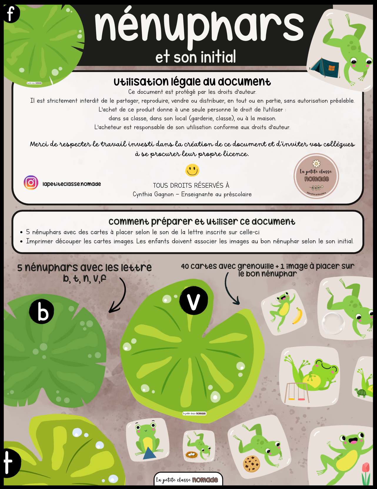 Nénuphars et son initial - Insectes et printemps