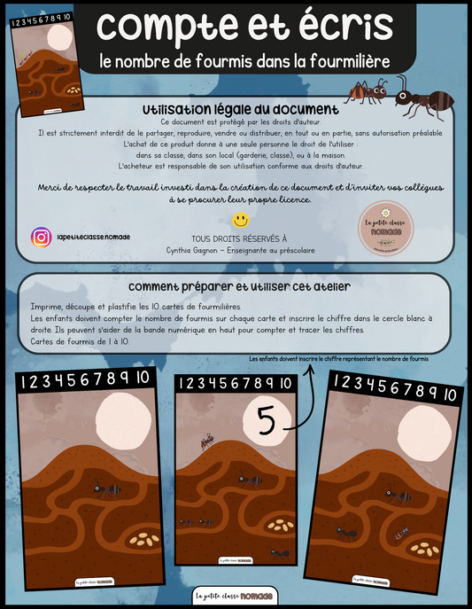 Compte et écris le nombre de fourmis - Insectes