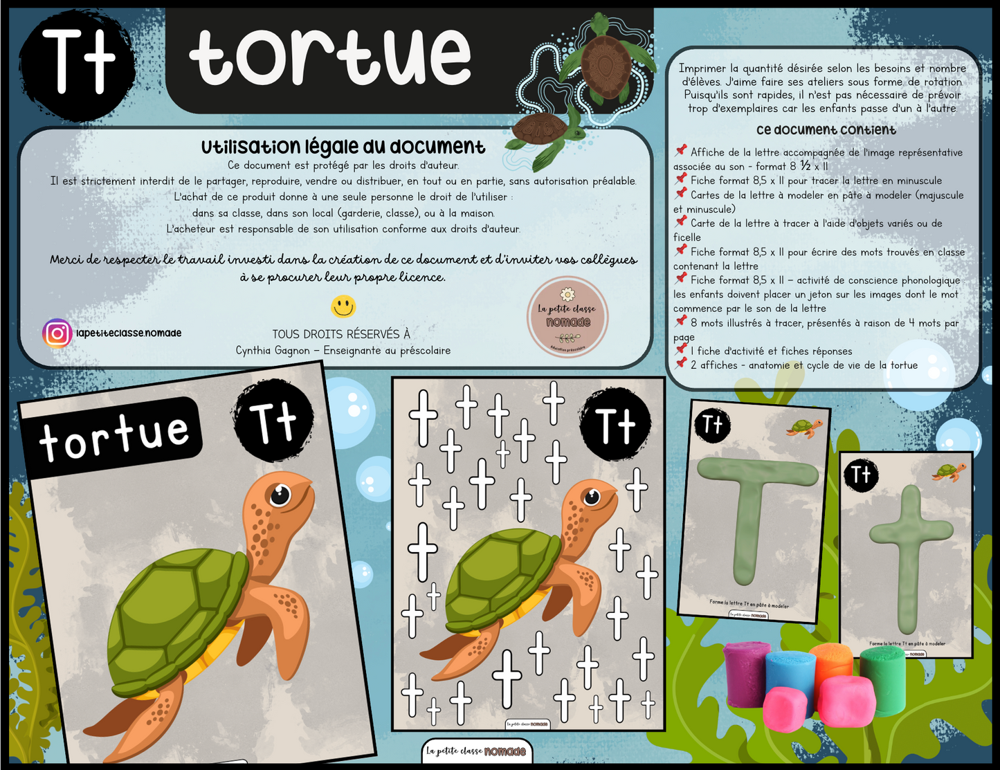 Lettre Tt- Tortue