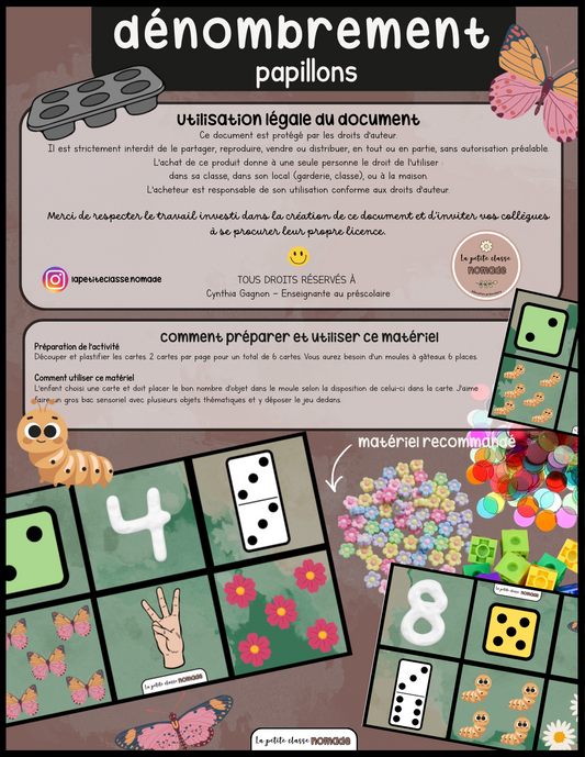 Dénombrement papillons - Moule à gâteau - Insectes
