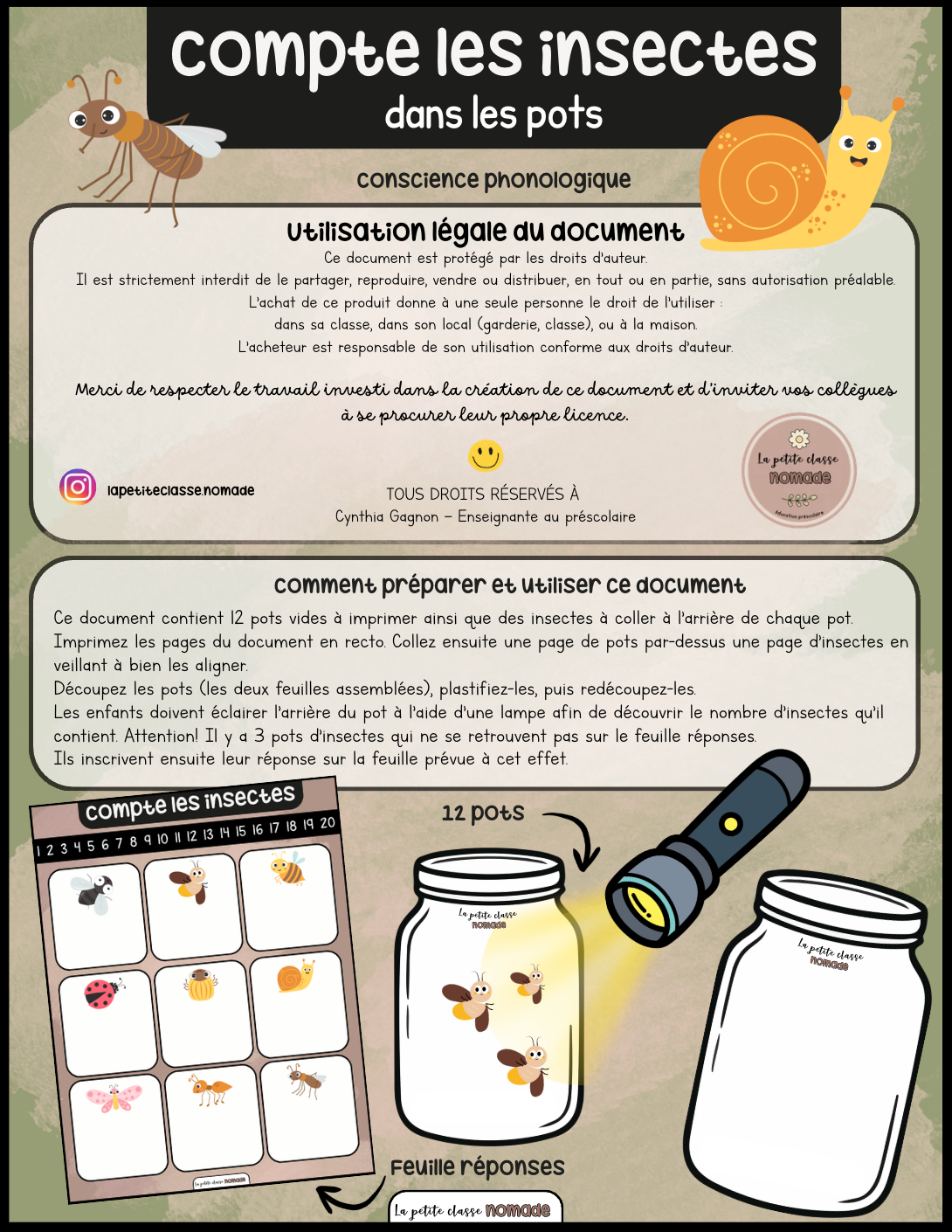 Compte les insectes dans les pots - Insectes