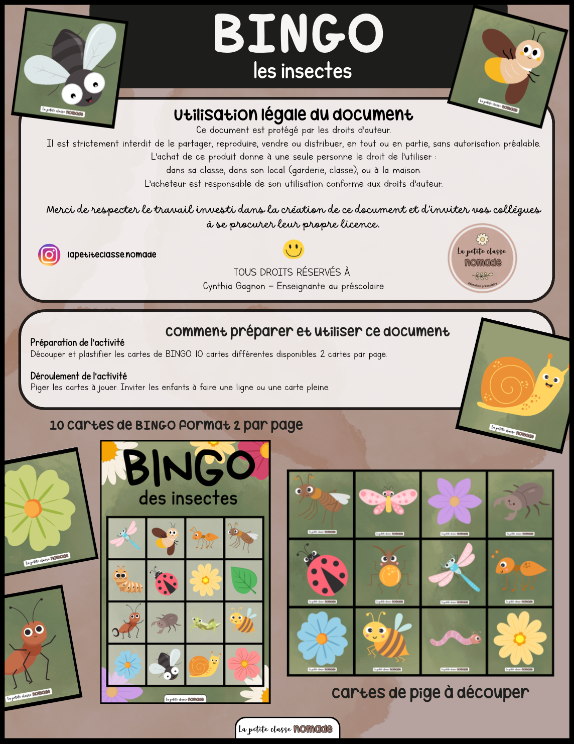 BINGO des insectes
