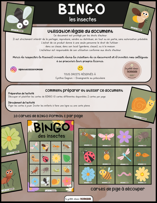 BINGO des insectes