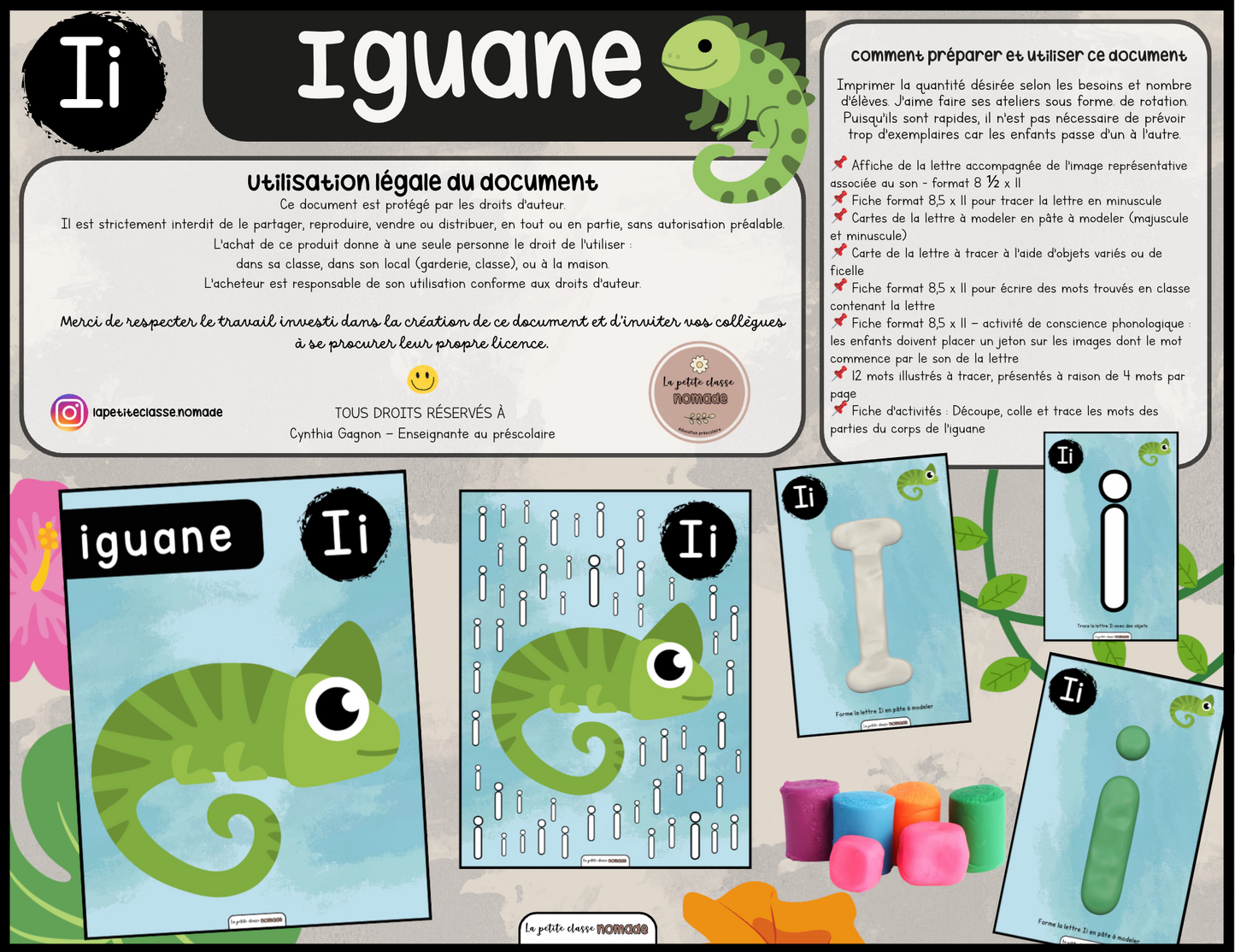 Lettre Ii - Iguane
