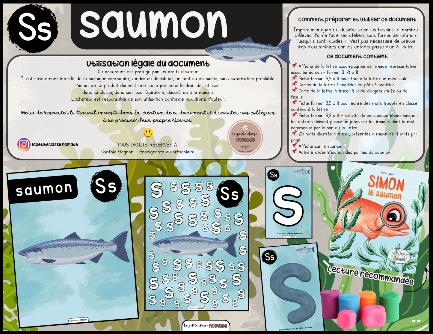 Lettre Ss - Saumon