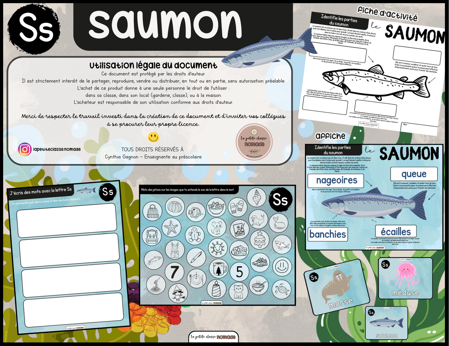 Lettre Ss - Saumon