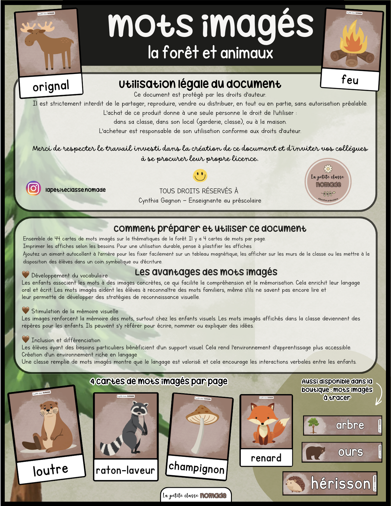 Mots imagés - La forêt