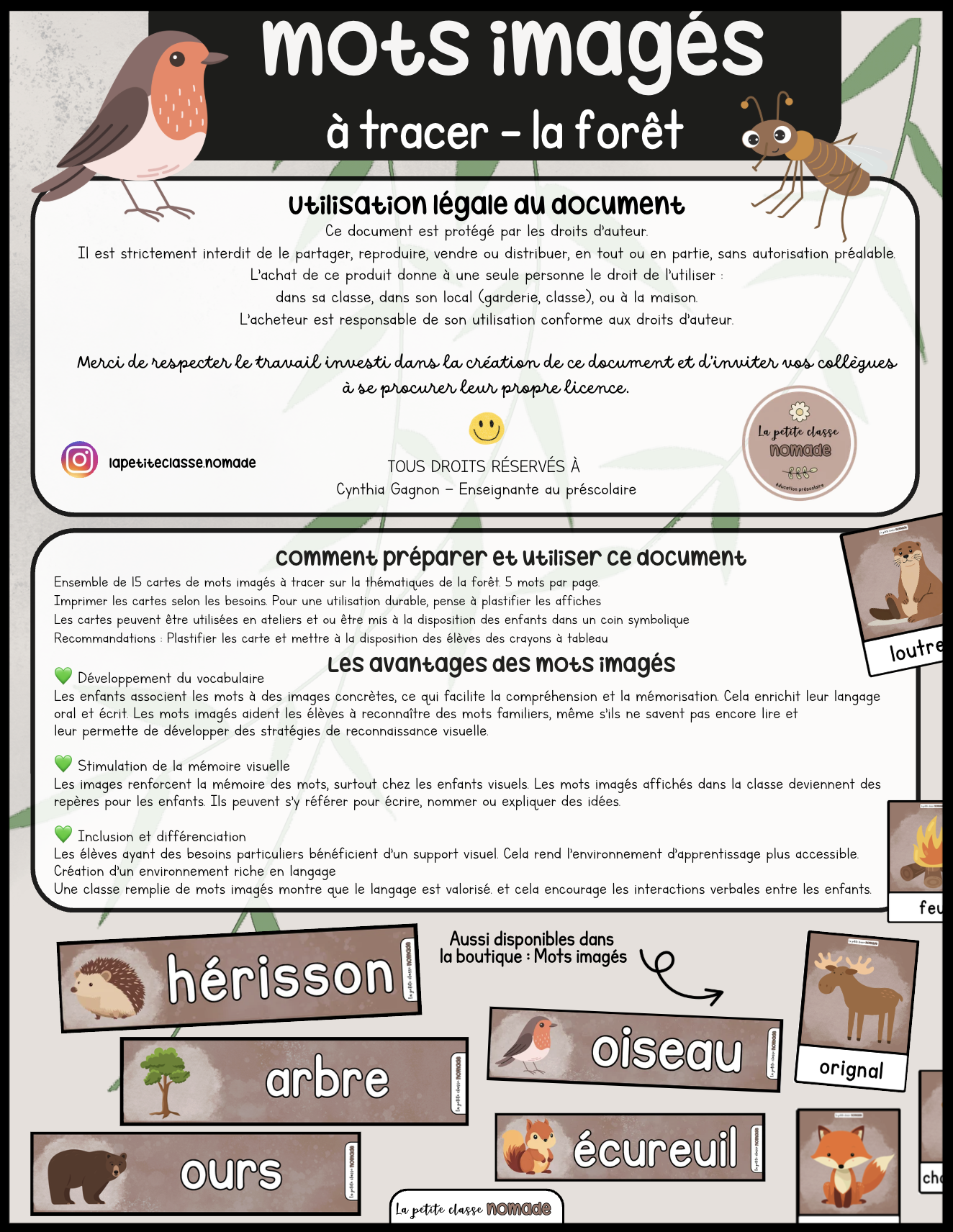 Mots imagés à tracer - La forêt