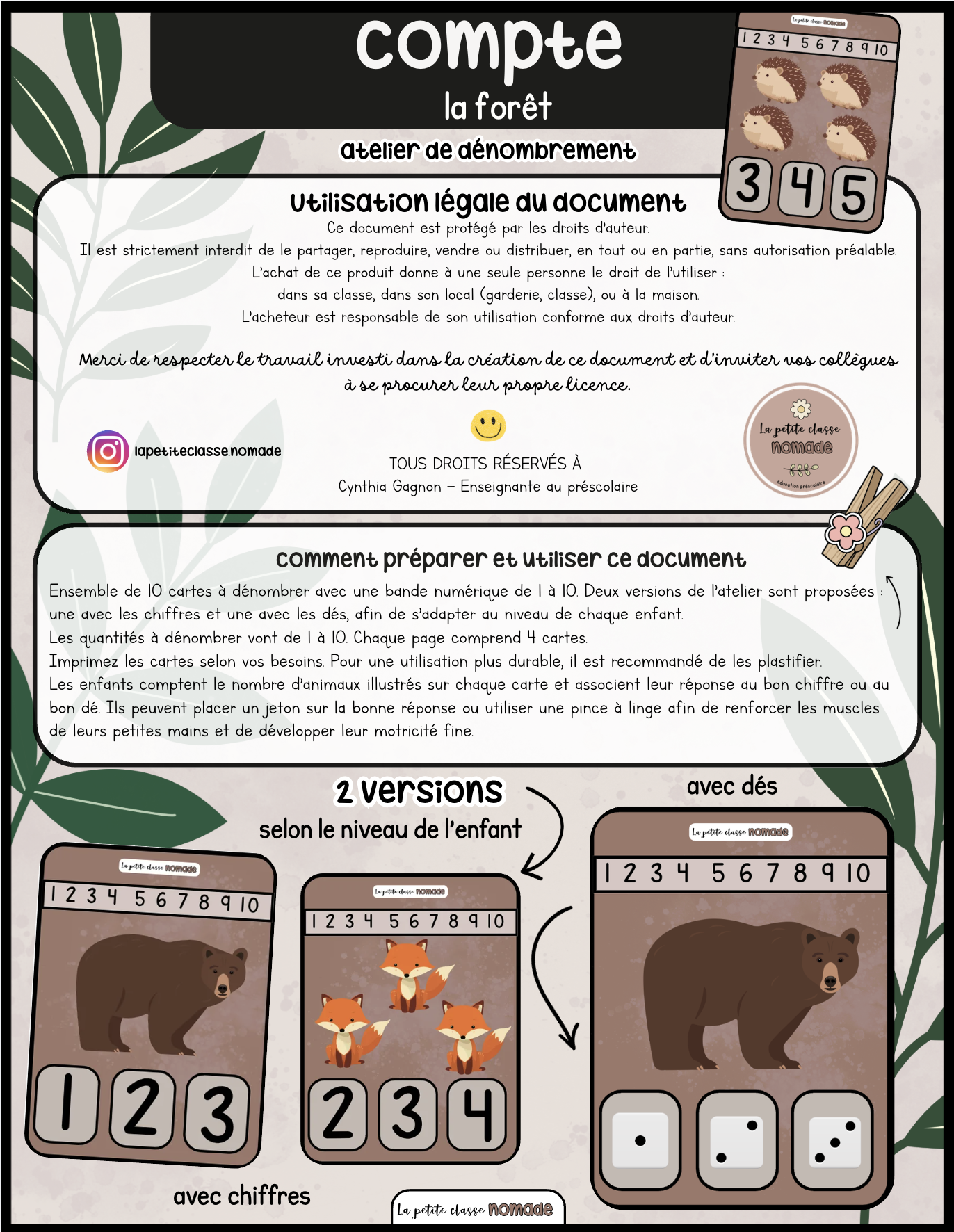 Cartes compte - La forêt