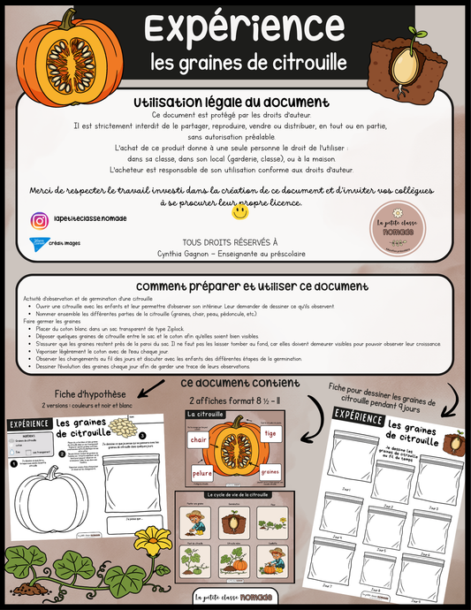 Expérience - Les graines de citrouille