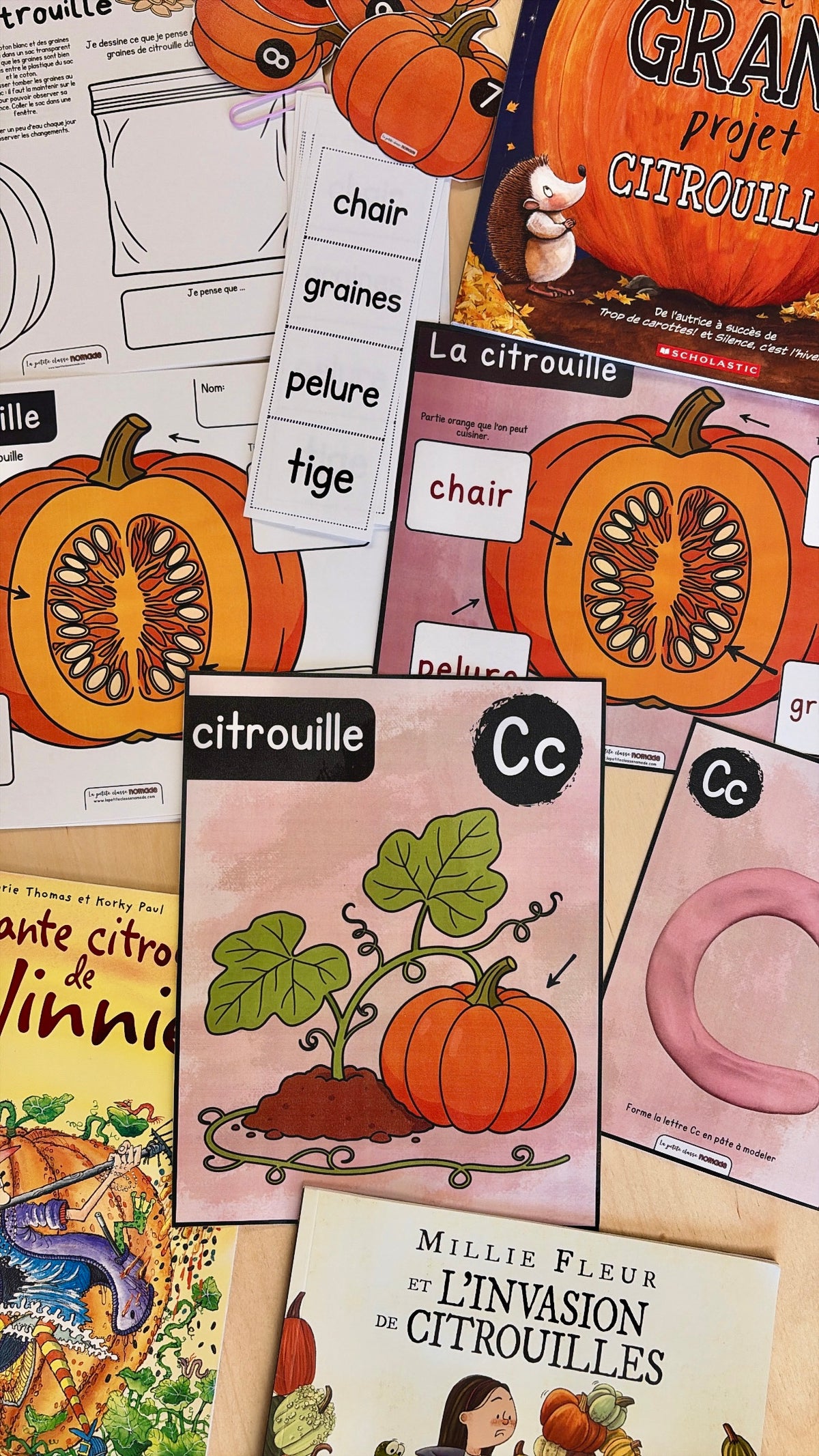 Ensemble - Collection complète Citrouille
