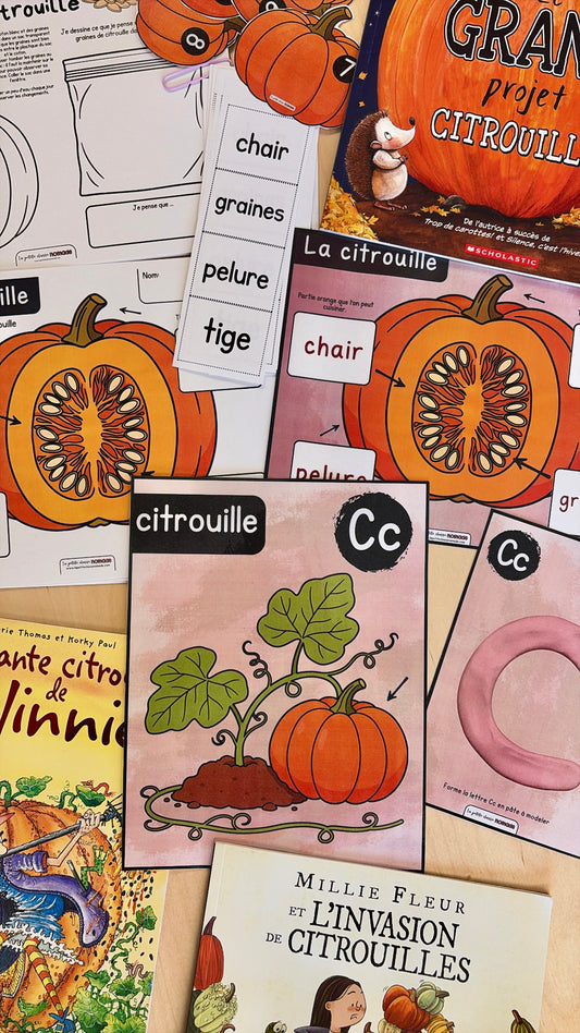 Ensemble - Collection complète Citrouille
