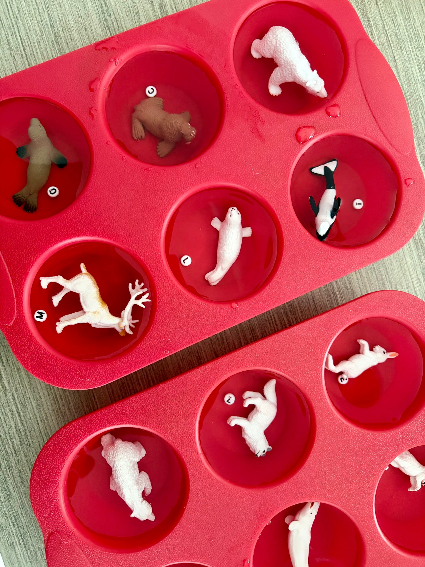 Déglace les animaux polaires et les lettres/chiffres